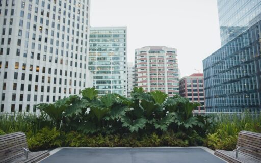 Rewilding, o mais novo conceito de urbanismo que transforma as cidades
