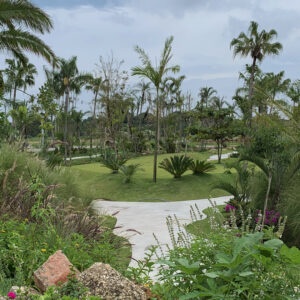 Qual a importância de estar ao ar livre?